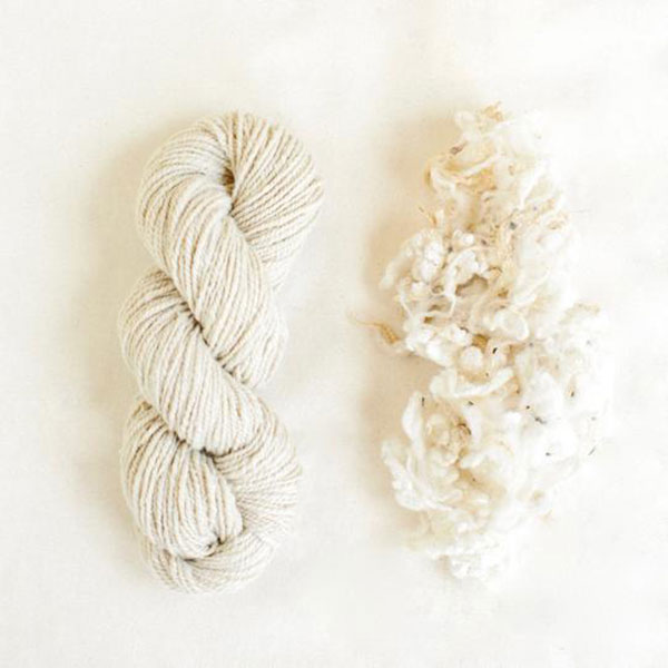 Handspun Hope Organic Merino Yarn - The Woolery