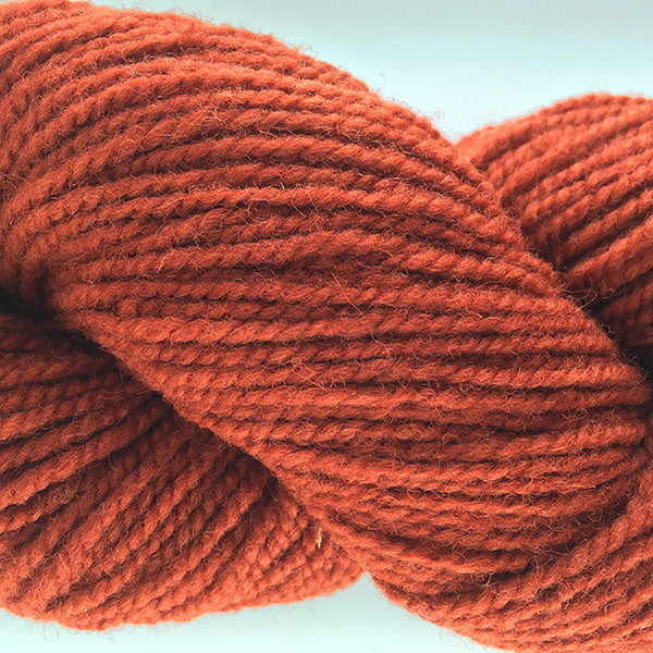 Briggs & Little Super Yarn