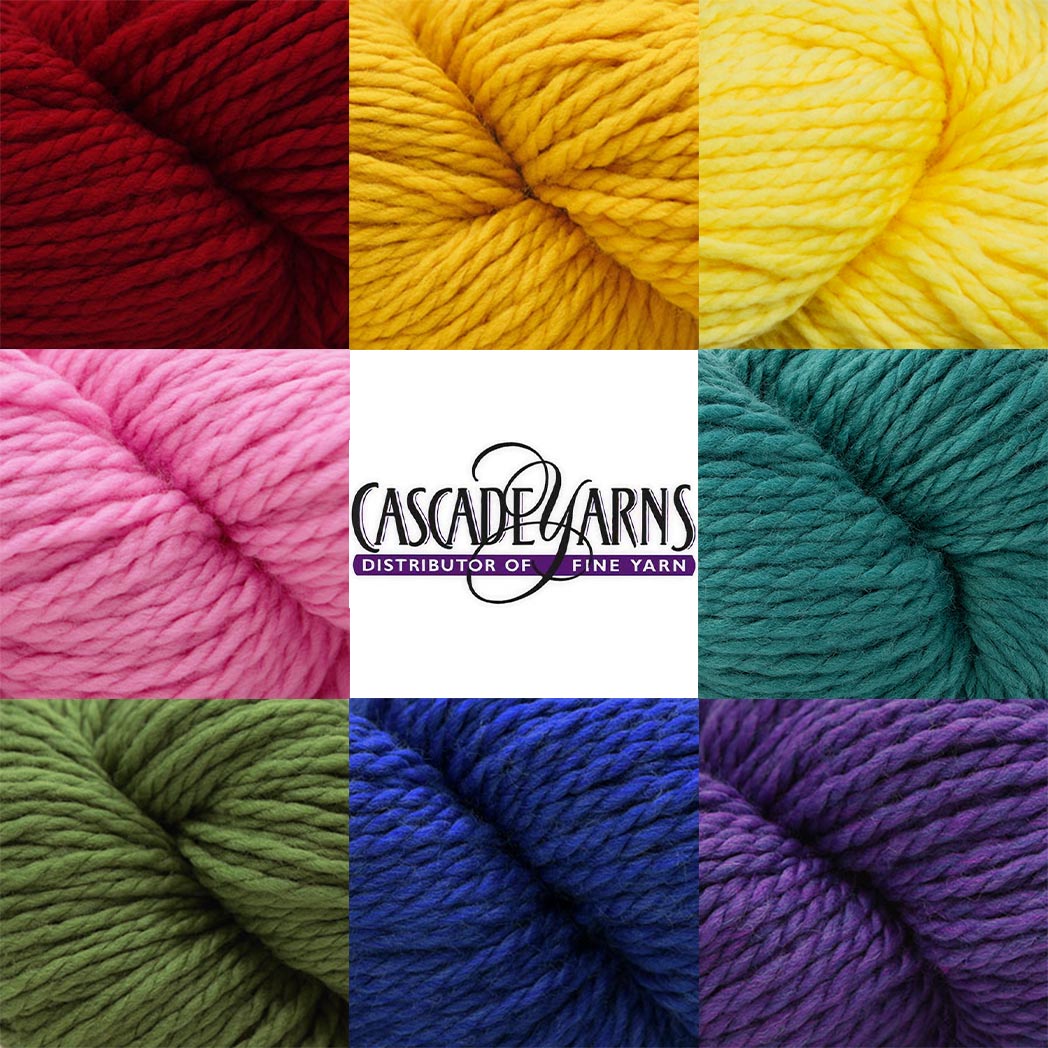Cascade 128 Superwash Yarn - Front Image