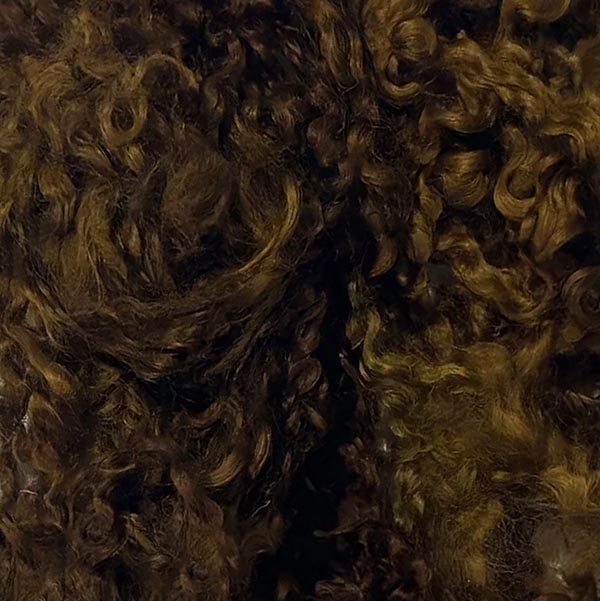 Wensleydale Dyed Locks - The Woolery