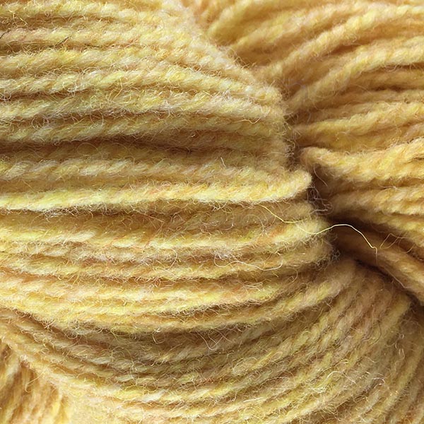 Briggs & Little Regal Yarn - The Woolery