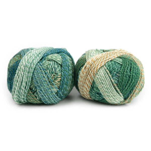 Zauberball Edition 3 Yarn - The Woolery