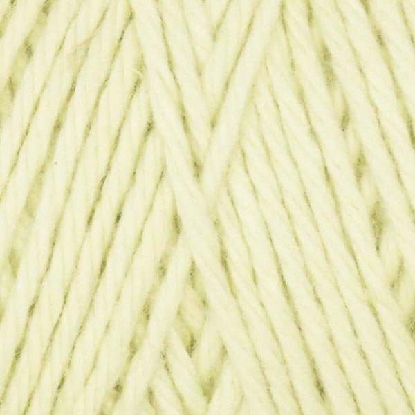 Queensland Coastal Cotton Yarn - The Woolery