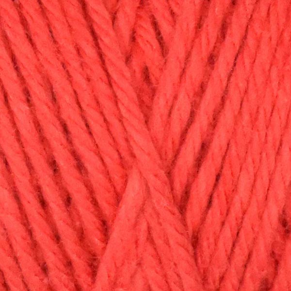 Queensland Coastal Cotton Yarn - The Woolery