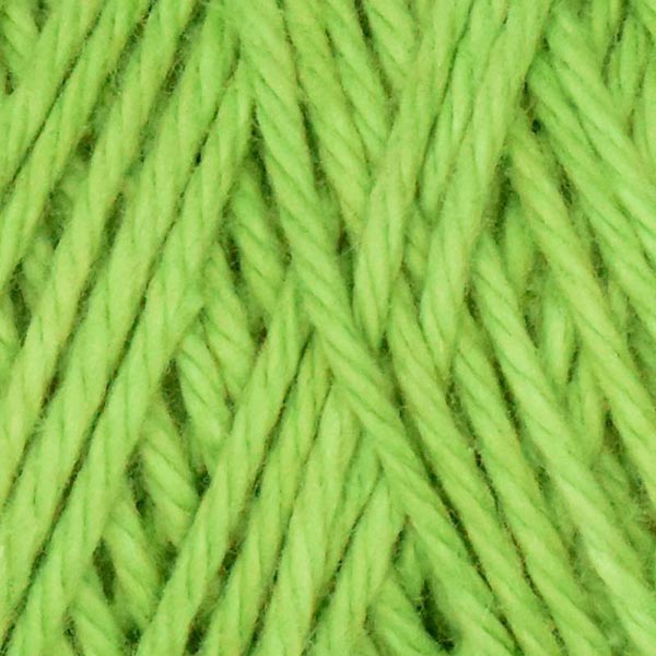 Queensland Coastal Cotton Yarn - The Woolery