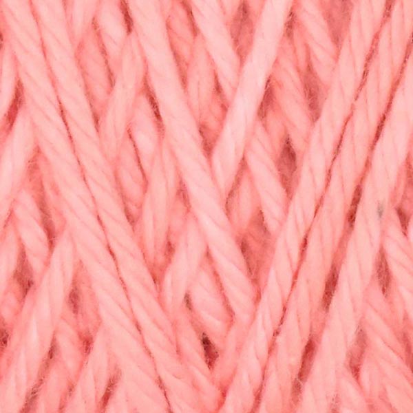 Queensland Coastal Cotton Yarn - The Woolery