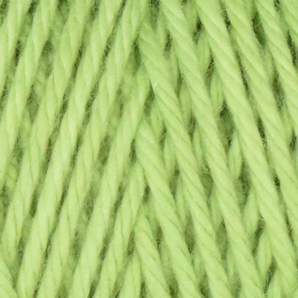 Queensland Coastal Cotton Yarn - The Woolery