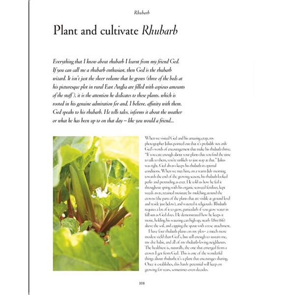 Grow, Cook, Dye, Wear - Rhubarb