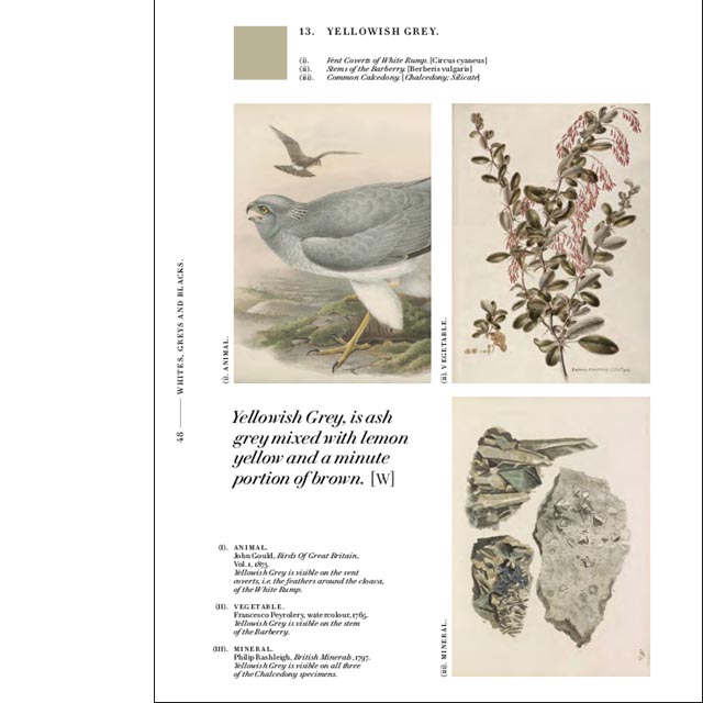 Nature's Palette - c