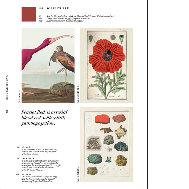 Nature's Palette - b