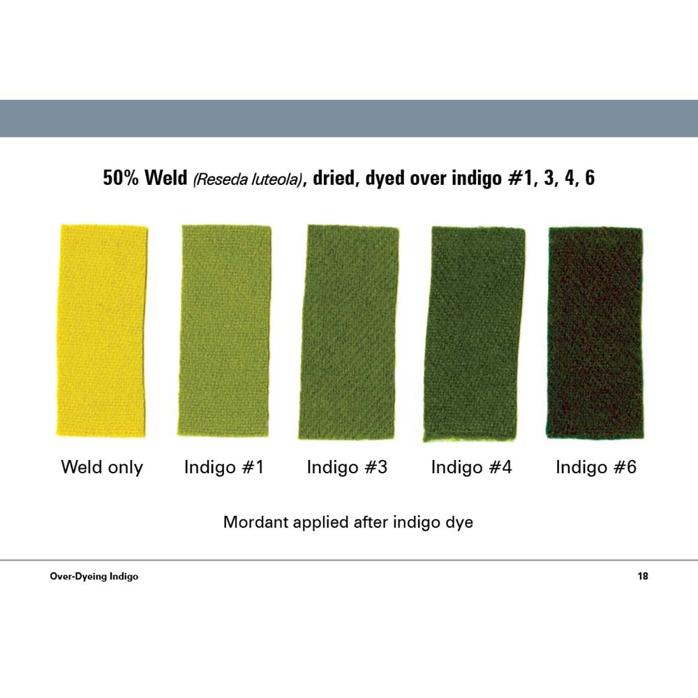 Indigo Dye Mordant Results
