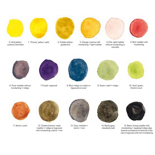 Botanical Dyes - Colors