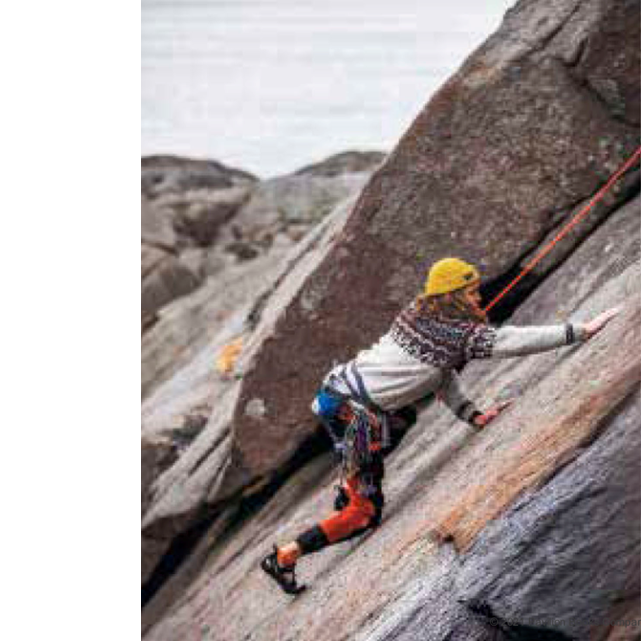 Wilderness Knits - C