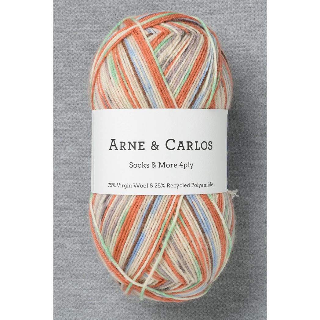 Arne & Carlos Socks & More 4Ply Yarn - Last Brushstroke