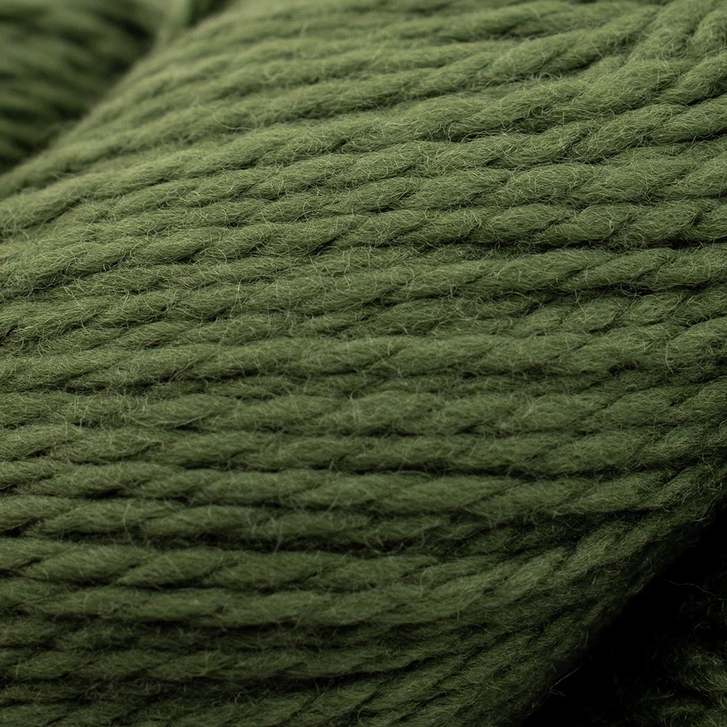 Cascade ECO+ Wool Yarn