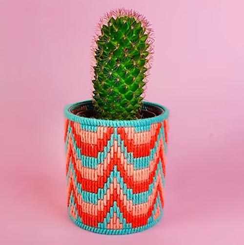 The Edinburgh Craft Club Plant Pot Bargello Kit