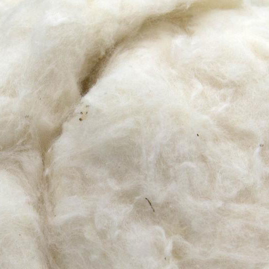 Ginned Egyptian Cotton Fiber