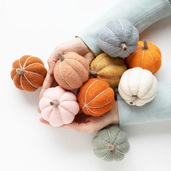 Sculpting with Wool Needle Felting Kit - Pumpkin Party - 676753027566