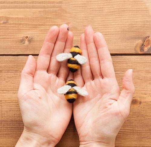 Felted Bee Kit