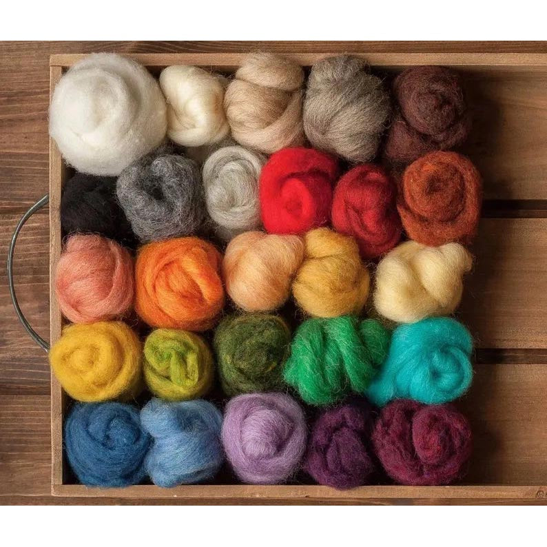 Needle Felting Starter Kit - Wool Variety