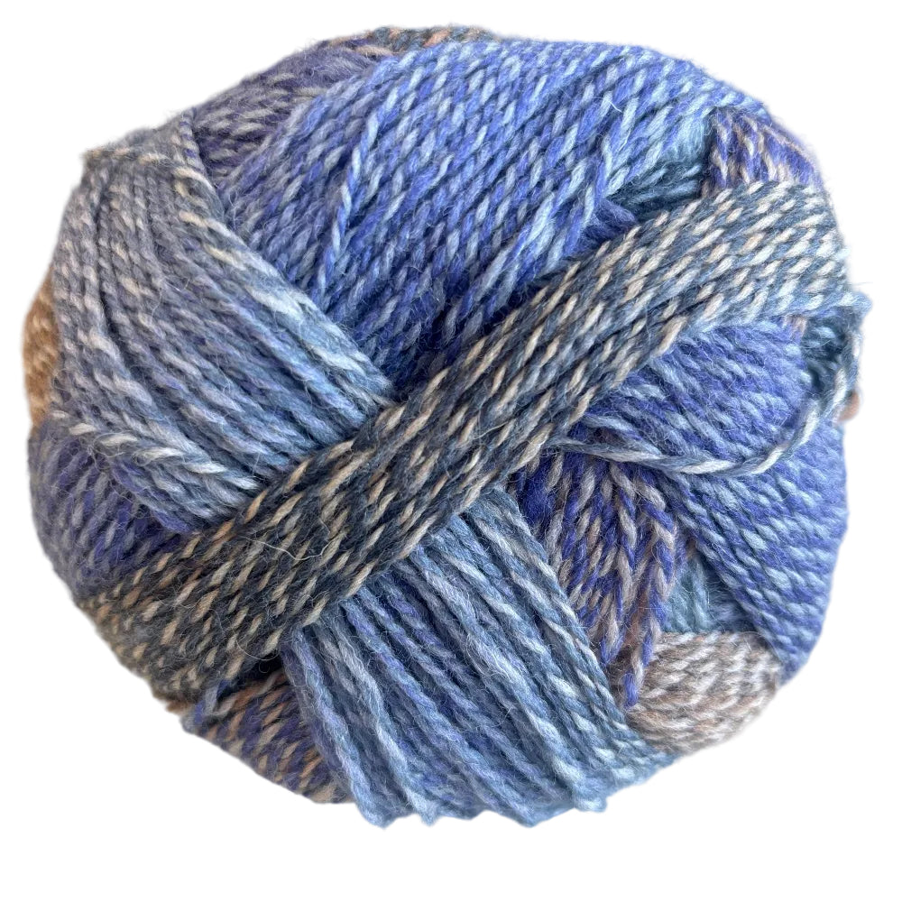 Ella Rae Color Magic Yarn - The Woolery