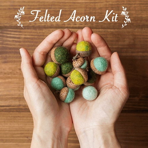 Felted Acorn Kit