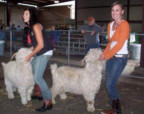 Artisan Spotlight: Natalie Redding of Namaste Farms