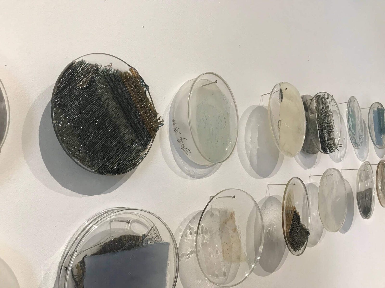 Spotlight on Student Fiber Trends 2018