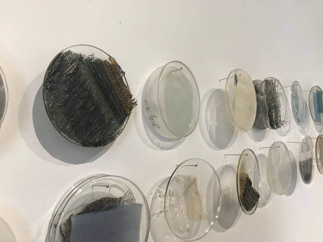 Spotlight on Student Fiber Trends 2018