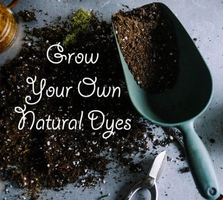 Grow Your Own Natural Dyes