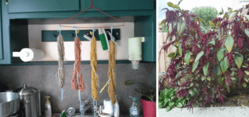 Customer Spotlight: Hopi Dye Experiment