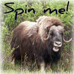 Carders Make Your Qiviut Go Farther