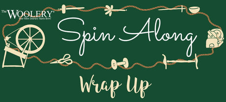 Spin Along Wrap Up