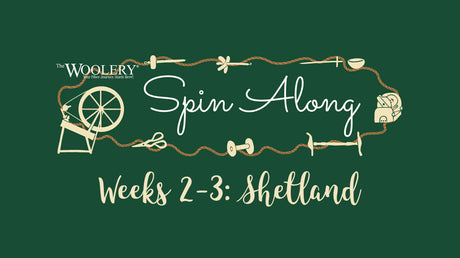 Spin Along Week 2 - Shetland, Twist, and Setting Your Handspun!