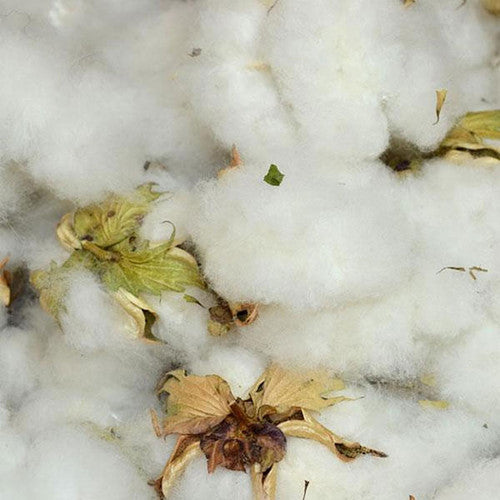 Cellulose Fibers - Cotton, Bast & Processed | The Woolery