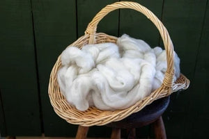 Fiber