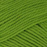 Brown Sheep Nature Spun Fingering Weight Yarn - The Woolery