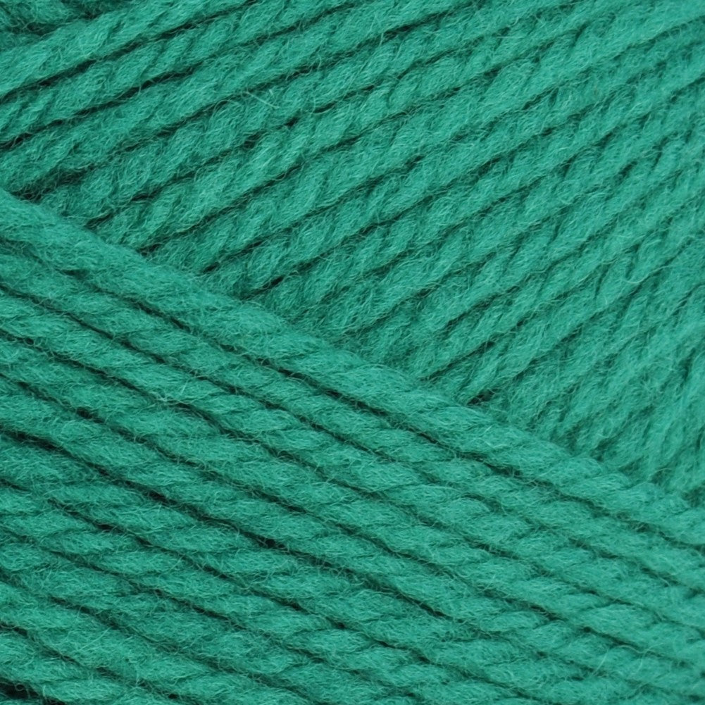 Brown Sheep Nature Spun Fingering Weight Yarn - The Woolery