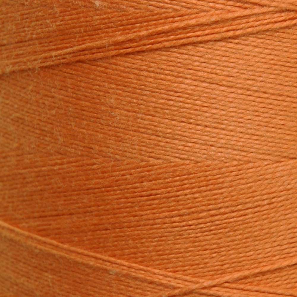 Maurice Brassard Cotton Yarn - 8/8 - The Woolery