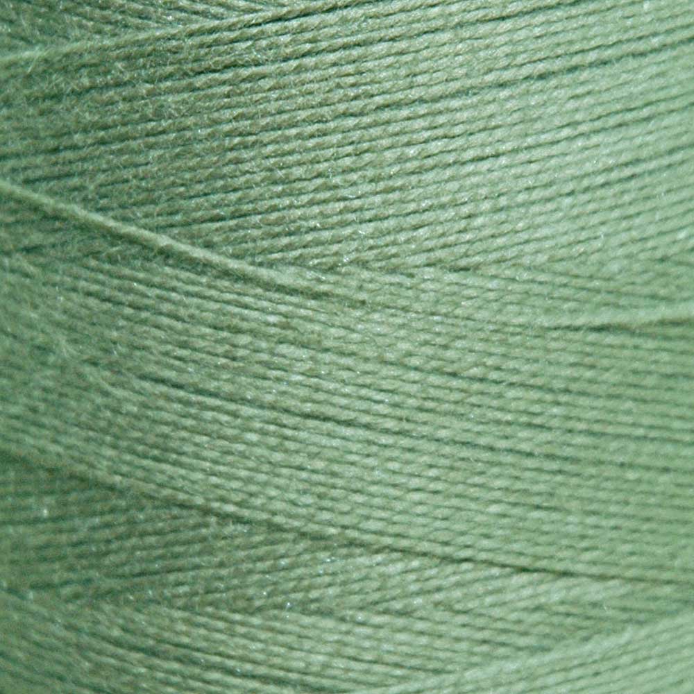 Maurice Brassard Cotton Yarn - 8/2 - The Woolery