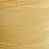 Maurice Brassard Cotton Yarn - 8/2 - The Woolery