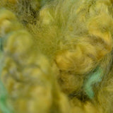 Hidden Valley Coopworth Locks - The Woolery