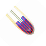 McFarland Spectrum Boat Shuttle - The Woolery