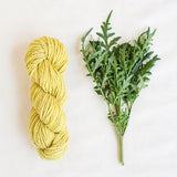 Handspun Hope Organic Merino Yarn - The Woolery