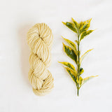 Handspun Hope Organic Merino Yarn - The Woolery