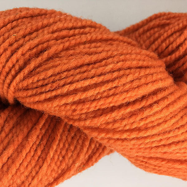 Briggs & Little Super Yarn