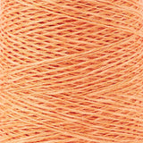 Gist Duet Cotton / Linen Weaving Yarn - The Woolery