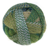 Zauberball Crazy Sock Yarn - The Woolery