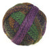 Zauberball Crazy Sock Yarn - The Woolery