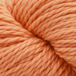 Cascade 128 Superwash Yarn - Peach Cobbler